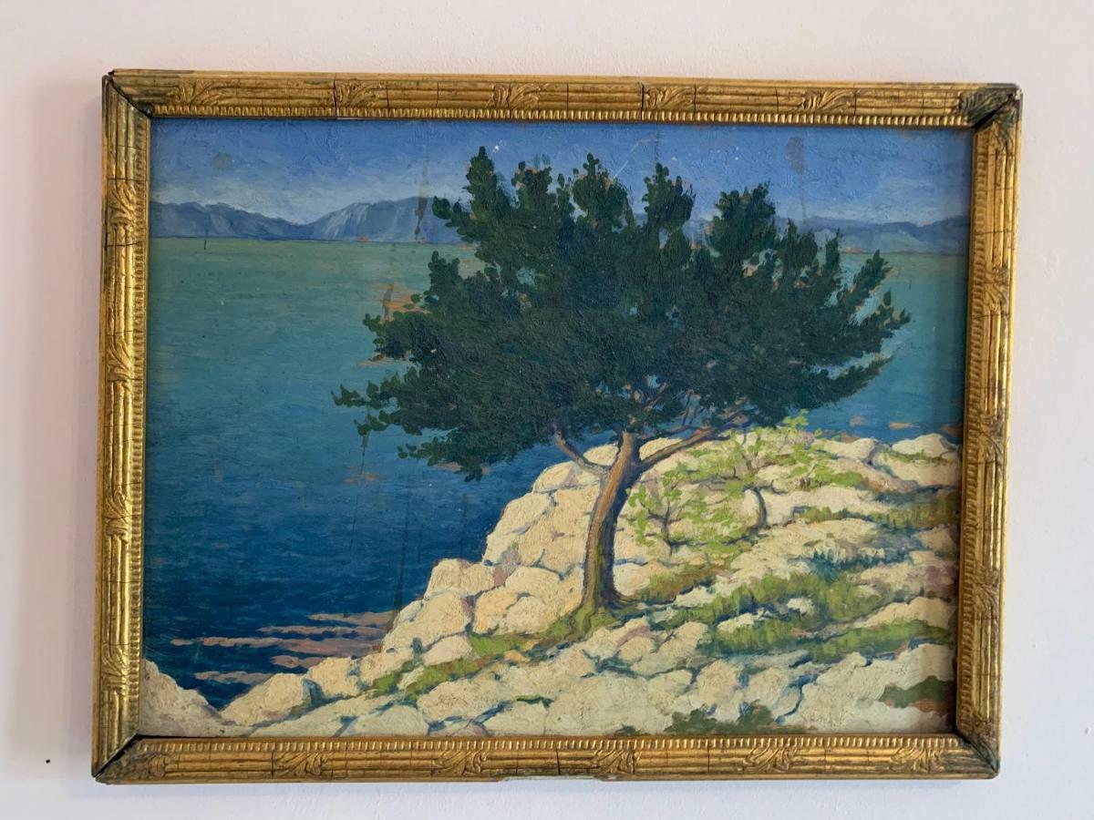 La Sarrasine Otel Villes-sur-Auzon Dış mekan fotoğraf